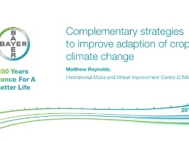 Agriculture - Stratégies complémentaires visant à améliorer l'adaptation des cultures aux changements climatiques