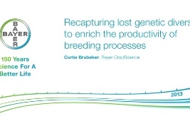 Agriculture - Retrouver la diversité génétique perdue pour enrichir la productivité des processus de reproduction