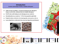 Allergie alimentaire aux protéines végétales du nord au sud