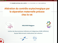 «Altération des contrôles ocytocinergiques par la séparation maternelle précoce chez le rat» «Altération des contrôles ocytocinergiques par la séparation maternelle précoce chez le rat»