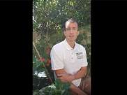 Alternative DIY aux augmentations volumiques osseuse en implantologie