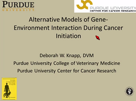 alternative models of gene-environment interaction during cancer initiation alternative models of gene-environment interaction during cancer initiation
