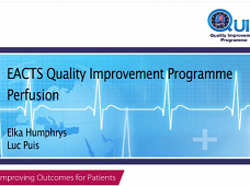 Amélioration de la Qualité - Groupe de perfusion Amélioration de la Qualité - Groupe de perfusion