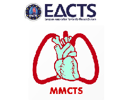 An external open ring for isolated aortic valve repair