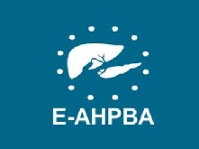 Anatomical Gateways in HPB Surgery