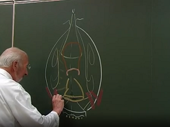 Anatomie chirurgicale de lovaire(2)