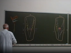Anatomie chirurgicale du coude lenfant