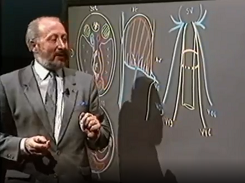 Anatomie chirurgicale du foie