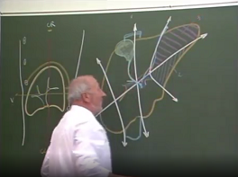 Anatomie de la Segmentation Hepatique 8 Avril 1996