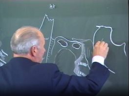 Anatomie de l'ethmoide
