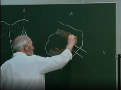 Anatomie du foramen obture