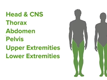 Anatomy  Course Preview Anatomy  Course Preview