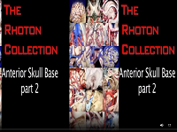 Anterior Skull Base, Part 2 (3D) Anterior Skull Base, Part 2 (3D)