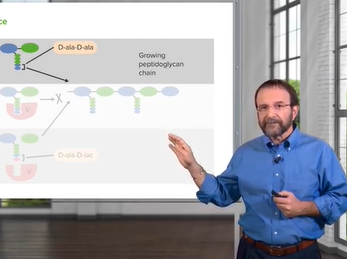 Antimicrobial Compounds & Resistance _ Microbiology _ Lecturio