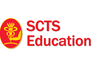 Aortic arch repair hybrid approaches