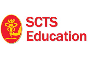 Aortic arch replacement options