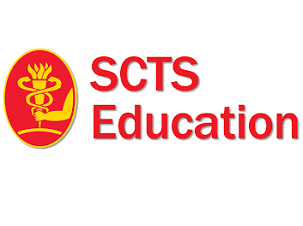 Aortic arch & thoracoabdominal options