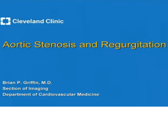 Aortic Stenosis and Regurgitation