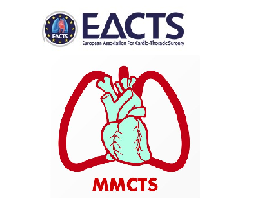 Aortic valve annuloplasty with the HAART geometric ring