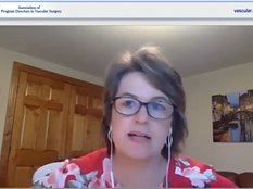 APDVS Business Meeting APDVS Business Meeting