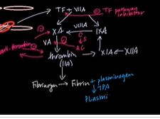 APGO Basic Sciences - Topic 12: Hemorrhage