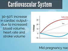 APGO Basic Sciences - Topic 16: Maternal-Fetal Physiology