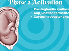 APGO Basic Sciences - Topic 25: Physiology of Labor