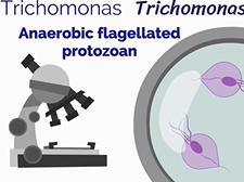 APGO Basic Sciences - Topic 27: Sexually Transmitted Infections