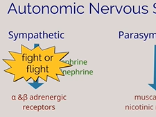 APGO Basic Sciences - Topic 29: Urinary Incontinence