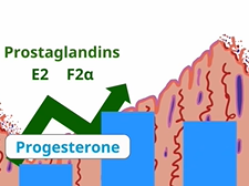 APGO Basic Sciences - Topic 8: Dysmenorrhea