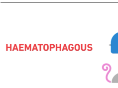 Arboviruses and their Vectors Arboviruses and their Vectors