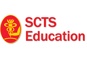 Arterial cannulation in aortic arch surgery