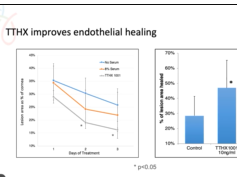 ARVO 2020: Accelerated healing of corneal endothelial lesions by engineered fibroblast growth factor