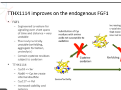 ARVO 2020: Proliferation of human corneal endothelia in organ culture