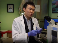 ASCPT 2020 Presidential Trainee Award Weize Huang