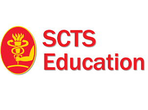 Atrial fibrillation ablation devices