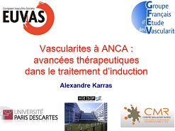 Atteintes rénales d'origine systémique - Traitement d'attaque des vascularites Atteintes rénales d'origine systémique - Traitement d'attaque des vascularites