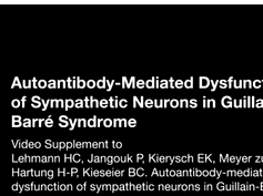 Autoantibody-Mediated Dysfunction of Sympathetic Neurons in Guillain-Barré Syndrome Autoantibody-Mediated Dysfunction of Sympathetic Neurons in Guillain-Barré Syndrome