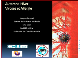 Automne-hiver : viroses et allergies