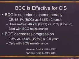 Bacille de Calmette-Guérin (BCG) réfractaire au carcinome in situ (CIS) de la vessie Bacille de Calmette-Guérin (BCG) réfractaire au carcinome in situ (CIS) de la vessie