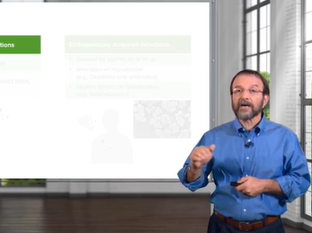 Bacteria: Human Microbiome, Infection & Spread _ Microbiology _ Lecturio