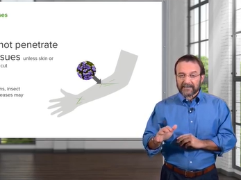 Bacteria _ Microbiology _ Lecturio