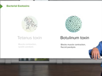 Bacteria Toxins: Exotoxins, Endotoxins & Membrane-Damaging Toxins _ Microbiology _ Lecturio Bacteria Toxins: Exotoxins, Endotoxins & Membrane-Damaging Toxins _ Microbiology _ Lecturio