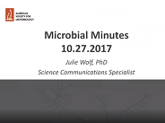 Bacterial evolution and influenza