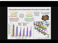 Base Editing Chemistry on a Target Nucleotide in the Genome of Living Cells