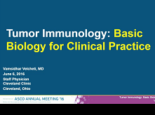Basic Overview of Current Immunotherapy Approaches in Cancer Basic Overview of Current Immunotherapy Approaches in Cancer