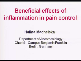 Beneficial effects of inflammation in pain control Beneficial effects of inflammation in pain control