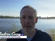 Beyond Borders at BIO Digital