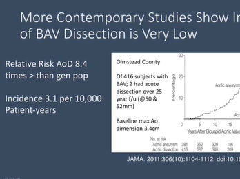 Bicuspid Aortic Valves and Big Aortas; What is the Big Fuss Fri