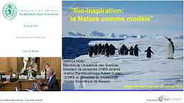 Bio-inspiration & Architecture